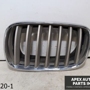 OEM 2007 BMW X5 4.8L DRIVER SIDE KIDNEY Grille 07 08 09 10 11 12 13