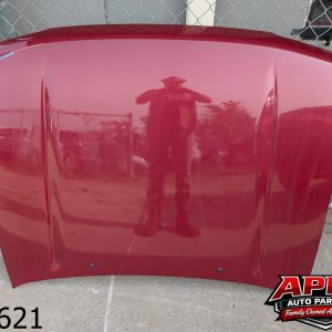 *NO SHIPPING* OEM 2002 Toyota 4Runner 3.4L Hood Bonnet Panel