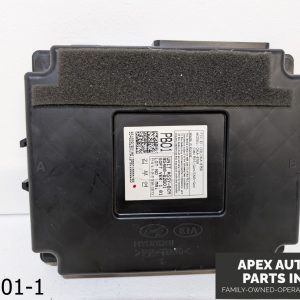 OEM 2017-2019 Kia Soul 2.0L Body Control Module