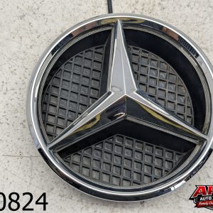 OEM 2010 Mercedes R350 3.5L Front Grill Star Emblem Badge