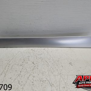 OEM 2009 Audi A4 2.0L Interior Rear Right Side Door Panel Trim Cover Unit Silver