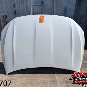 *NO SHIPPING* OEM 2023 Volkswagen Jetta 1.5L  Hood Panel