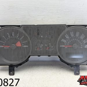 OEM 2007 Ford Mustang 4.6L Gauge Cluster Speedometer 4 Gauges