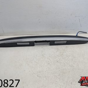 OEM 2007 Lexus RX350 3.5L LIFGATE LICENSE PLATE BEZEL TRIM MOLDING 76811-0E010