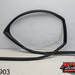 OEM 2024 Lexus RX350 2.4L AWD  REAR LEFT SIDE DOOR BODY WEATHERSTRIP SEAL