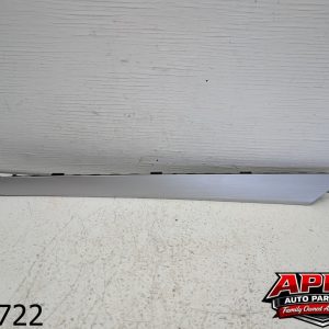 OEM 2025 Volkswagen Jetta 1.5L FRONT RIGHT SIDE DOOR PANEL TRIM STRIP MOLDING