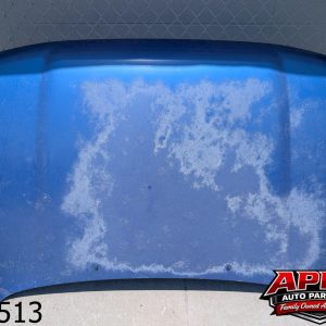 *NO SHIPPING* OEM 1995 Toyota T100 T-100 3.4L Hood