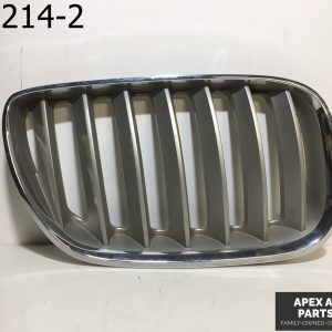 OEM BMW X5 2006 Front Radiator Kidney Titanium Grille Left OEM 51137185223